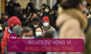 cập nhật số người tử vong do virus corona