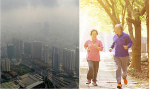 Ô nhiễm không khí là nguyên nhân gây các bệnh về tim mạch