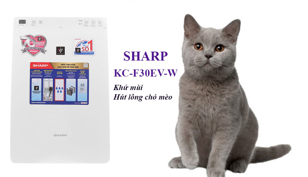 may loc khong khi tao am sharp kc f30ev w hut long cho meo - Top 5 máy lọc không khí Sharp khử mùi chó mèo hiệu quả 100%
